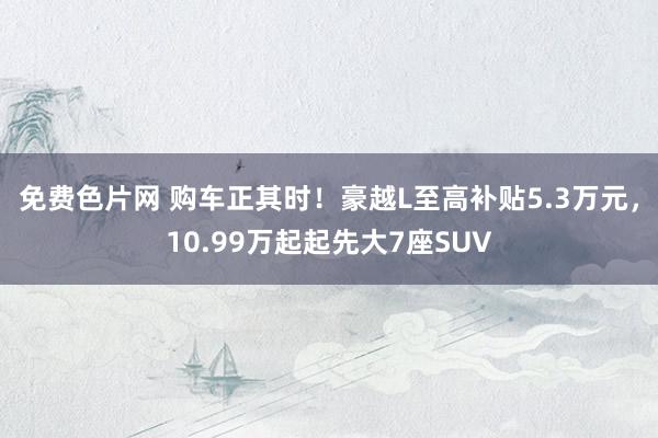 免费色片网 购车正其时！豪越L至高补贴5.3万元，10.99万起起先大7座SUV
