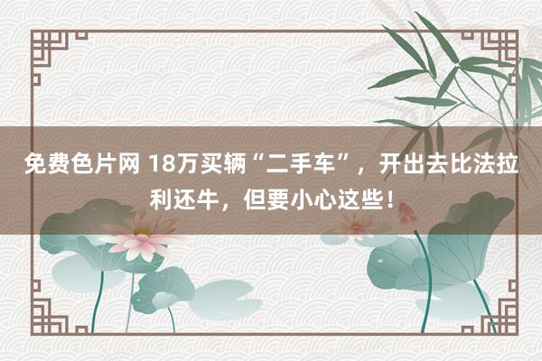 免费色片网 18万买辆“二手车”，开出去比法拉利还牛，但要小心这些！