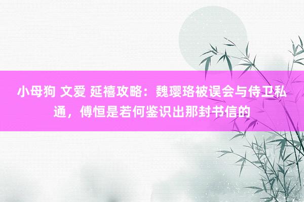 小母狗 文爱 延禧攻略：魏璎珞被误会与侍卫私通，傅恒是若何鉴识出那封书信的