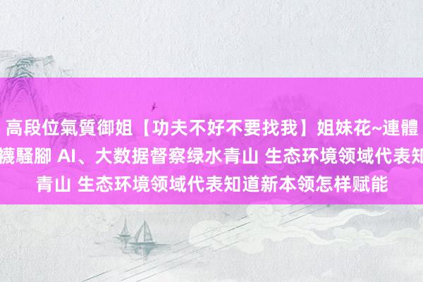 高段位氣質御姐【功夫不好不要找我】姐妹花~連體絲襪~大奶晃動~絲襪騷腳 AI、大数据督察绿水青山 生态环境领域代表知道新本领怎样赋能