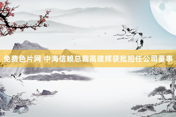 免费色片网 中海信赖总裁高建辉获批担任公司董事