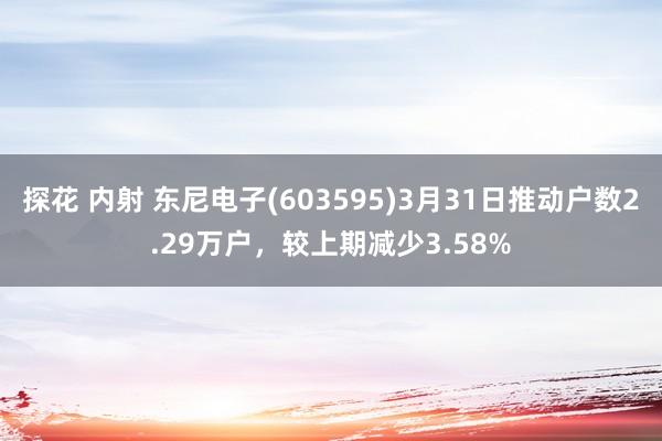 探花 内射 东尼电子(603595)3月31日推动户数2.29万户，较上期减少3.58%
