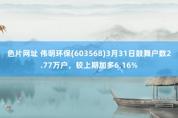 色片网址 伟明环保(603568)3月31日鼓舞户数2.77万户，较上期加多6.16%