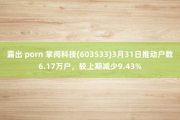 露出 porn 掌阅科技(603533)3月31日推动户数6.17万户，较上期减少9.43%