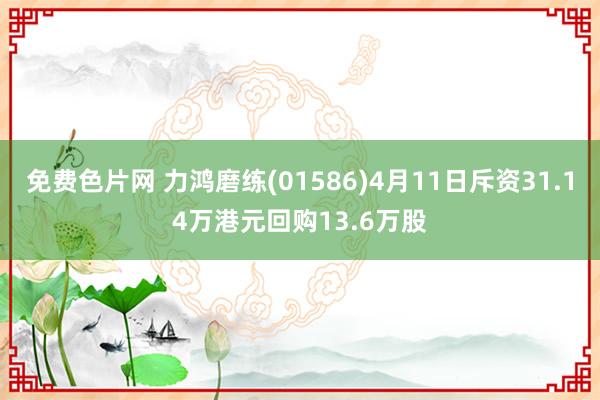 免费色片网 力鸿磨练(01586)4月11日斥资31.14万港元回购13.6万股