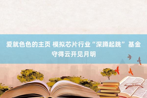 爱就色色的主页 模拟芯片行业“深蹲起跳” 基金守得云开见月明