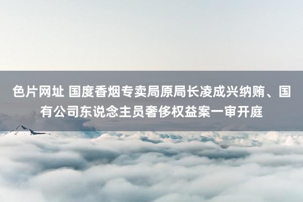 色片网址 国度香烟专卖局原局长凌成兴纳贿、国有公司东说念主员奢侈权益案一审开庭