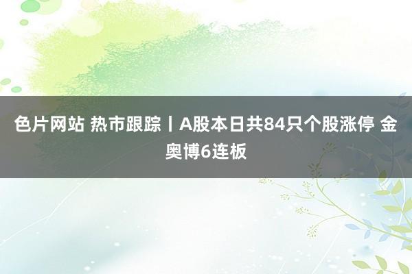色片网站 热市跟踪丨A股本日共84只个股涨停 金奥博6连板