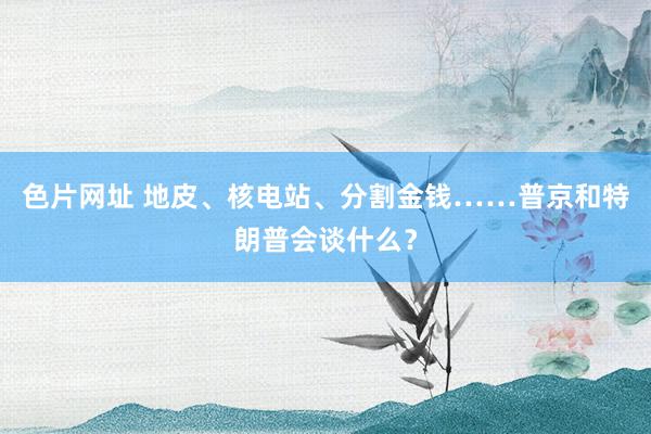 色片网址 地皮、核电站、分割金钱……普京和特朗普会谈什么？