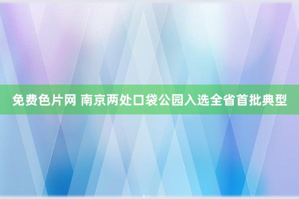 免费色片网 南京两处口袋公园入选全省首批典型