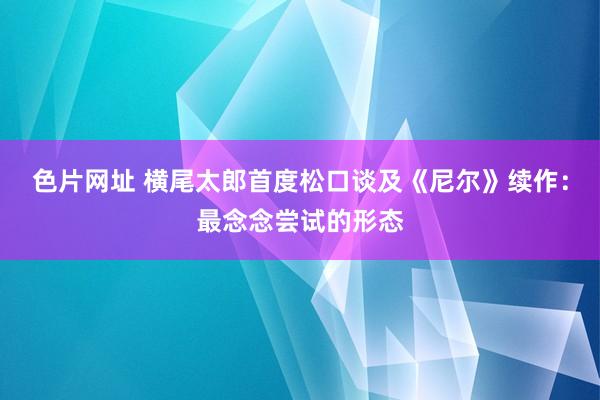 色片网址 横尾太郎首度松口谈及《尼尔》续作：最念念尝试的形态