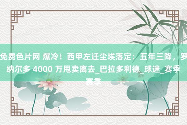 免费色片网 爆冷！西甲左迁尘埃落定：五年三降，罗纳尔多 4000 万甩卖离去_巴拉多利德_球迷_赛季