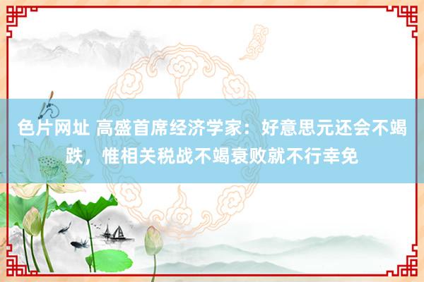 色片网址 高盛首席经济学家：好意思元还会不竭跌，惟相关税战不竭衰败就不行幸免