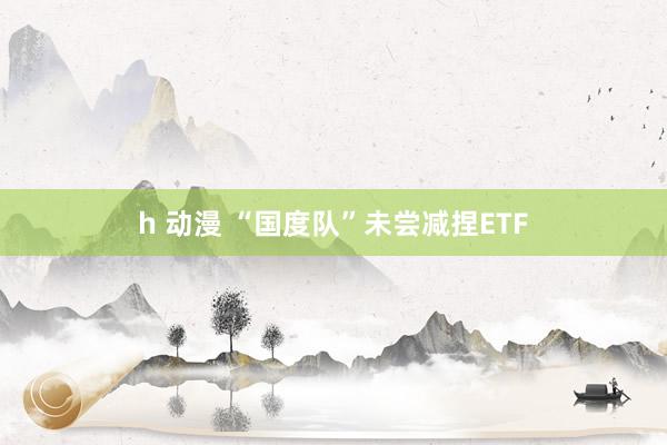 h 动漫 “国度队”未尝减捏ETF